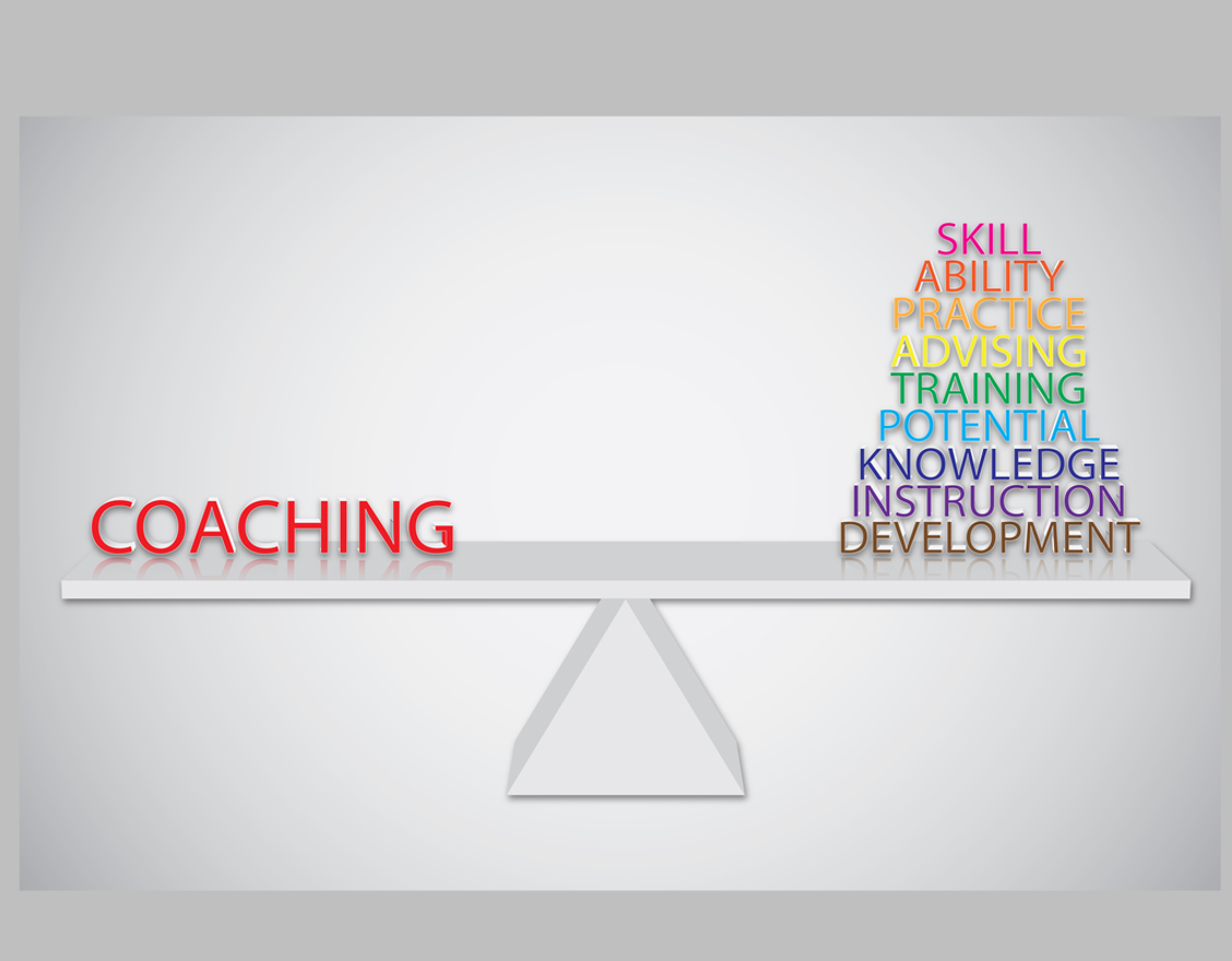 Interim Vertriebsleiter Expertise